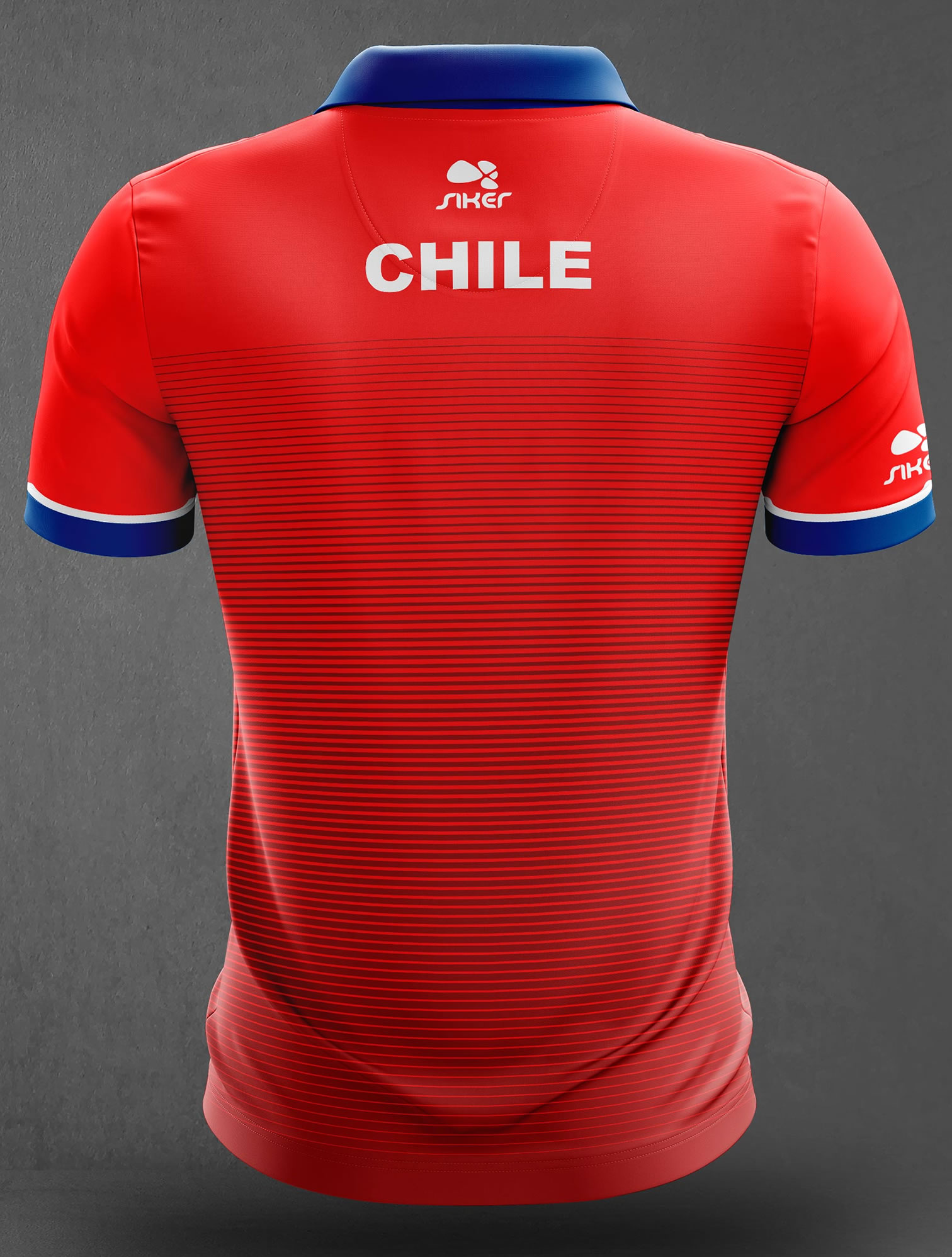 POLERA SALIDA  VERBO DIVINO